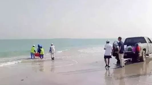 九州ku酷游·(中国集团)官方网站