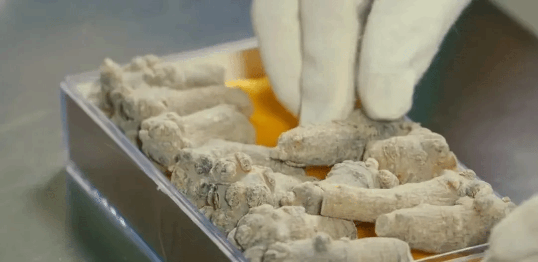 九州ku酷游·(中国集团)官方网站