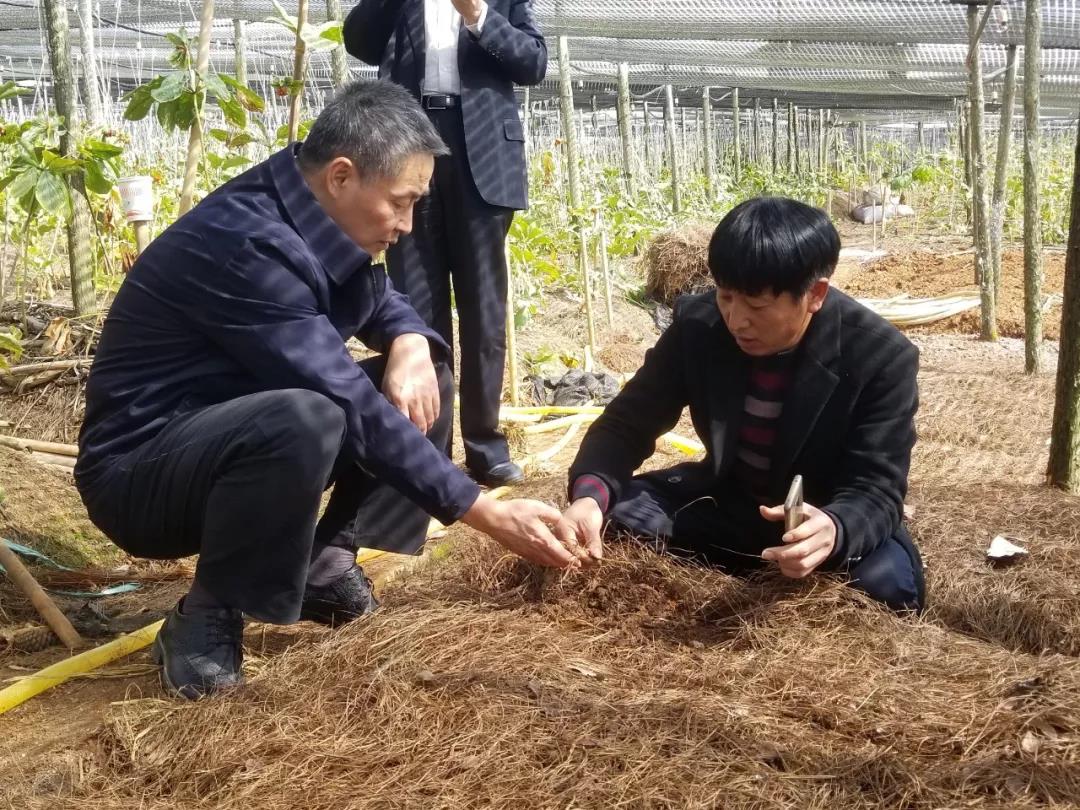 九州ku酷游·(中国集团)官方网站