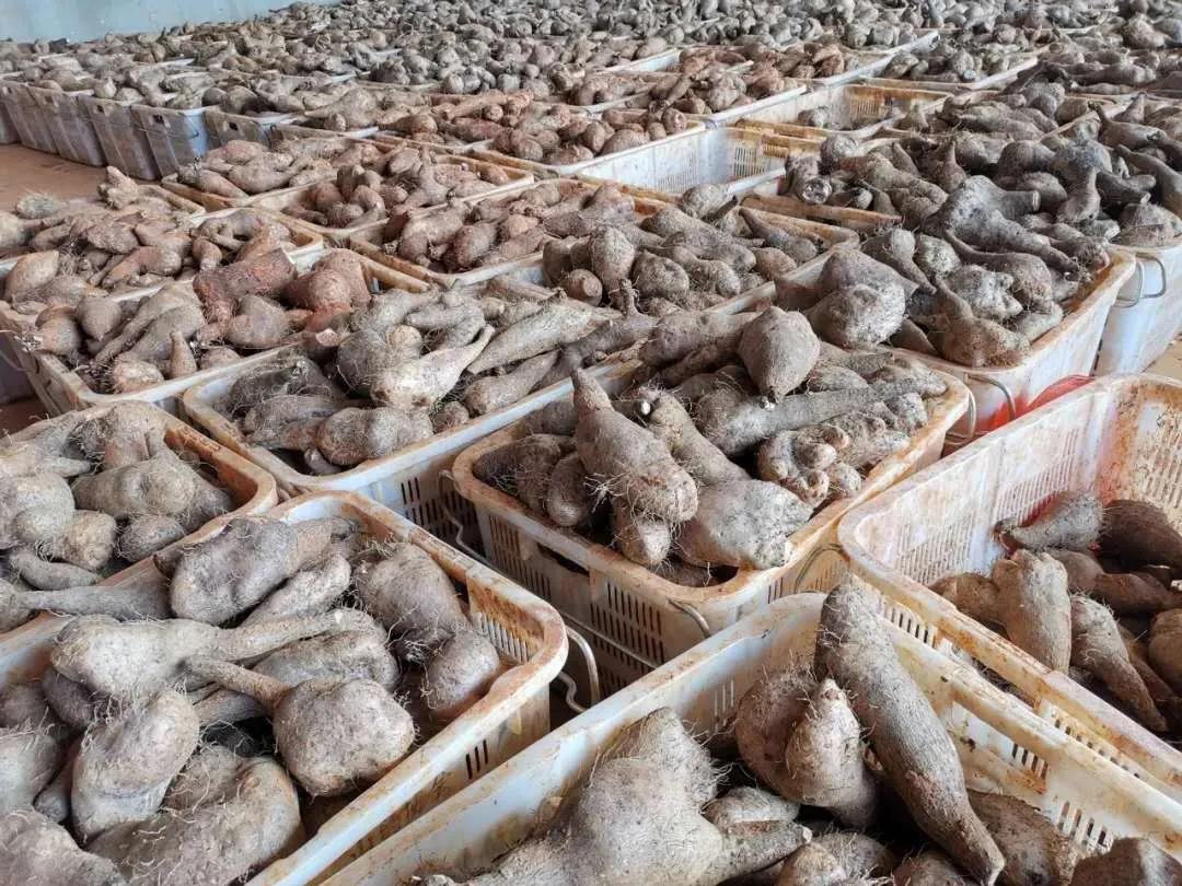 九州ku酷游·(中国集团)官方网站