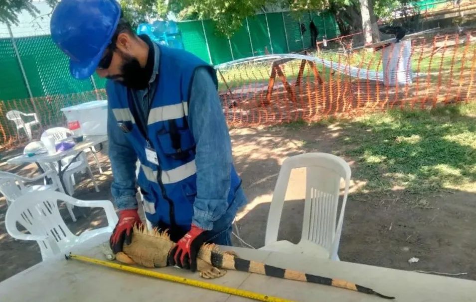 九州ku酷游·(中国集团)官方网站