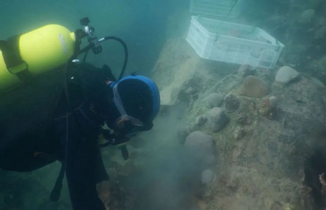 九州ku酷游·(中国集团)官方网站