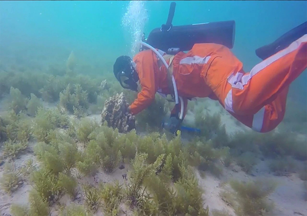 九州ku酷游·(中国集团)官方网站