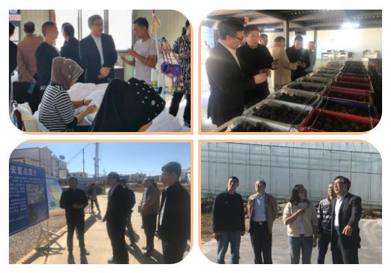 九州ku酷游·(中国集团)官方网站