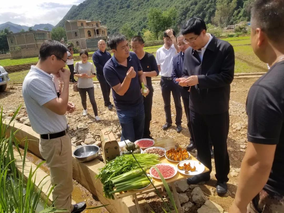 九州ku酷游·(中国集团)官方网站