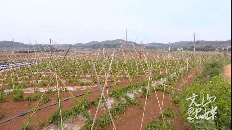 九州ku酷游·(中国集团)官方网站