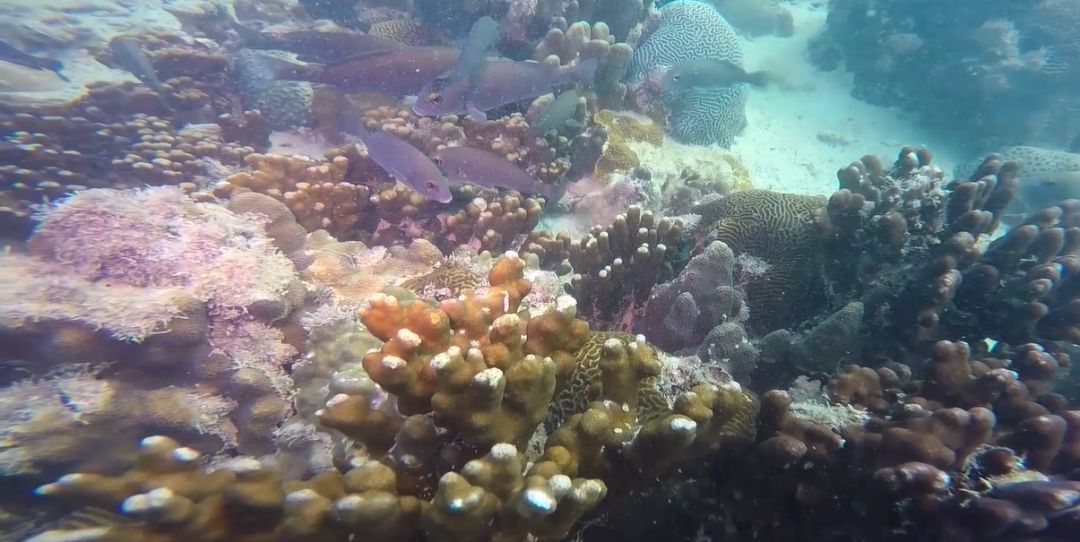 九州ku酷游·(中国集团)官方网站