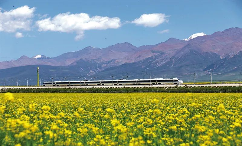 张玉卓、、国资、、央企、、国资委、、书记、、主任、、国企、、企业改革