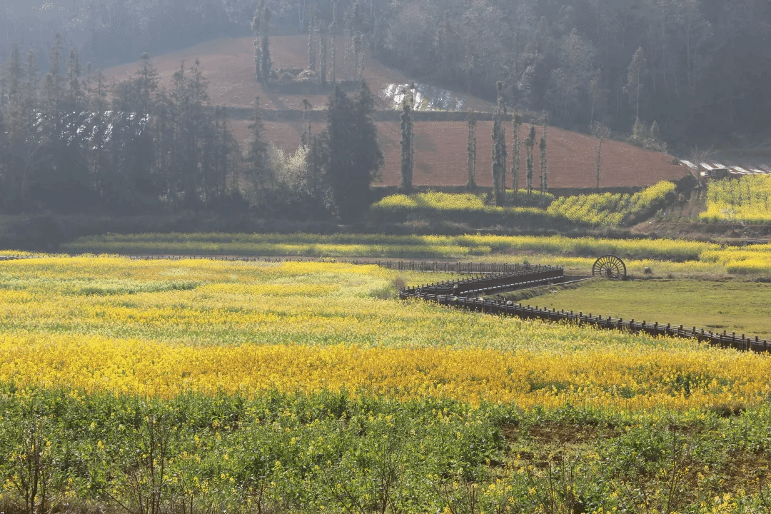 九州ku酷游·(中国集团)官方网站