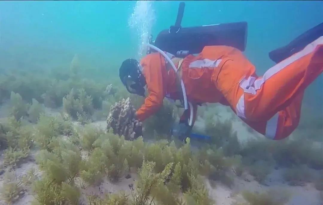 九州ku酷游·(中国集团)官方网站